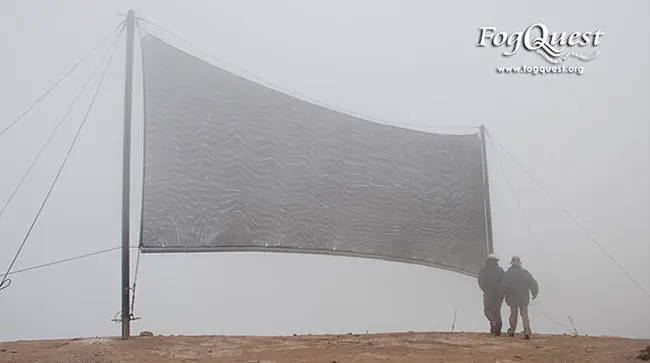 Recolectores de niebla: si no hay agua, agarrala del aire