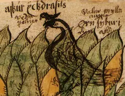 mitologia nordica