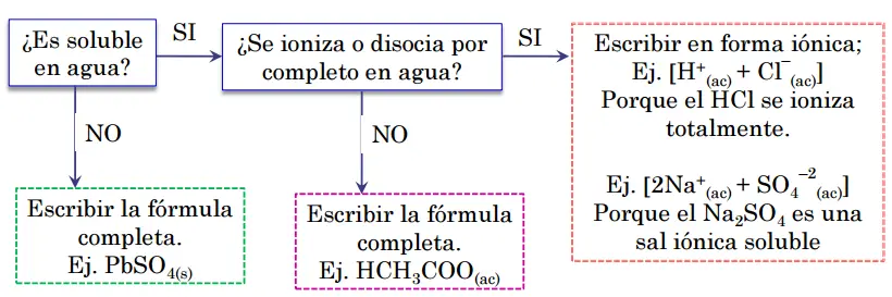 universidad universidad