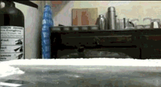 Shout Gif