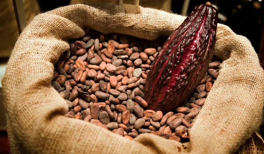Desventajas De Comer Chocolate para la Salud
