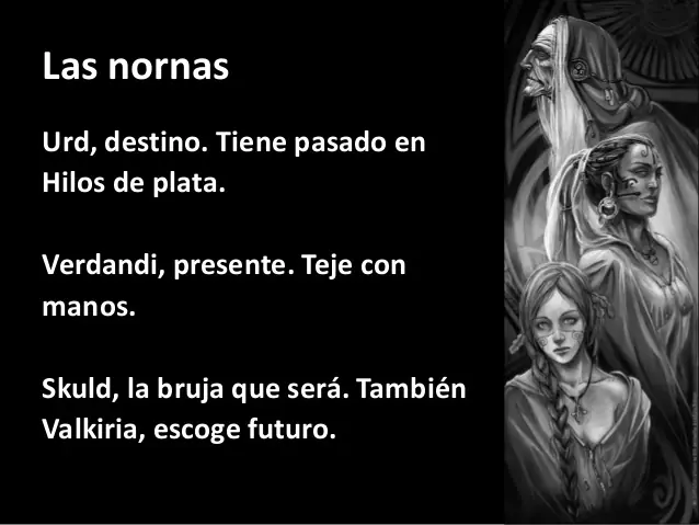 (Interesante) Los Berserks , las Valkirias e Yggdrasil