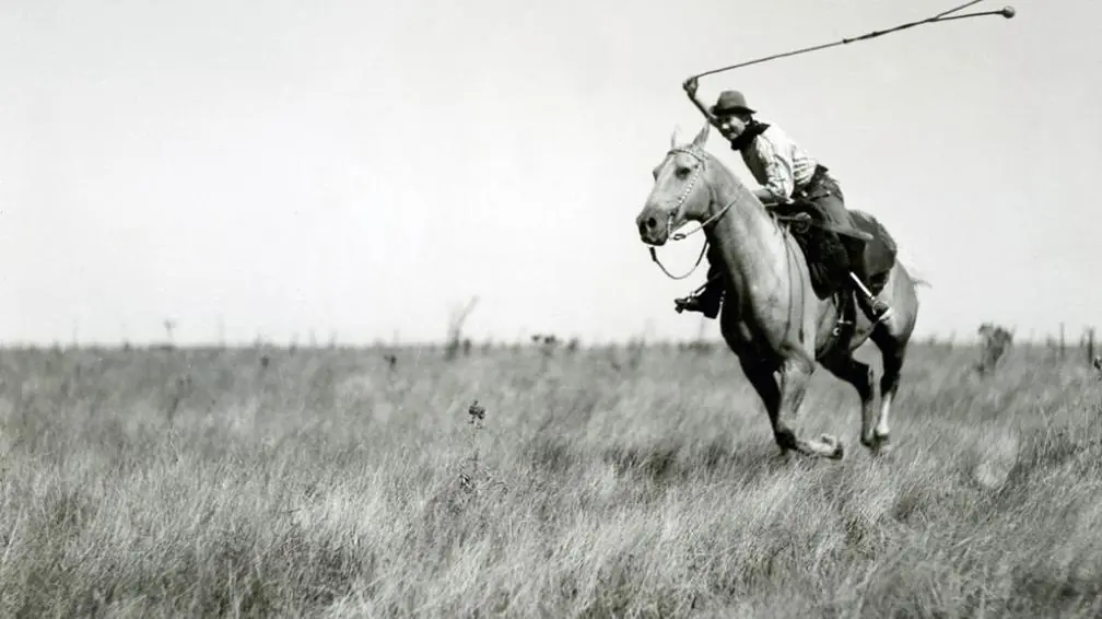 gauchos