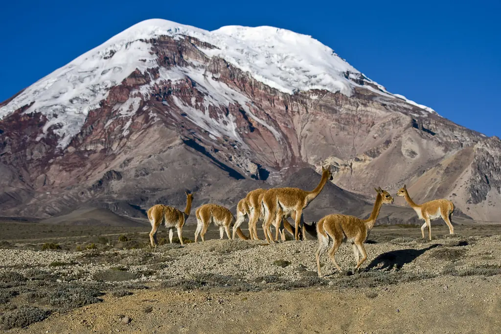 Récords mundiales de la geografía sudamericana Récords mundiales de la geografía sudamericana
