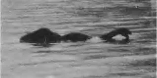 LAGO NESS