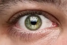 Cuidado de los ojos...Mitos y Realidades