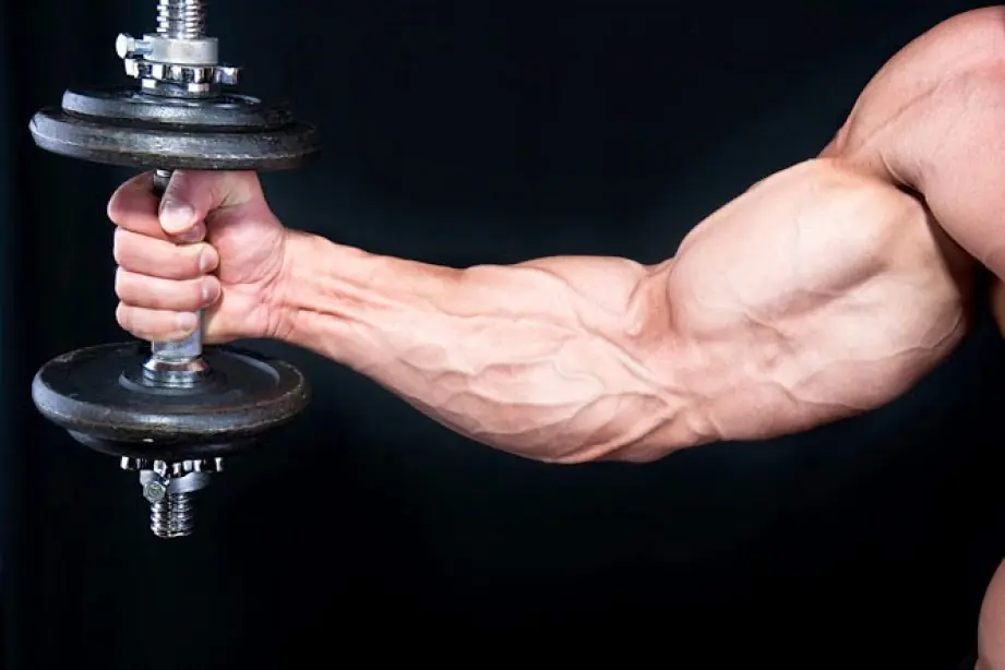hacer crecer antebrazo