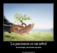 Ten paciencia, constancia y valor