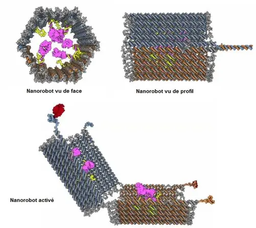 Los Nanobots [Que son y para que sirven]