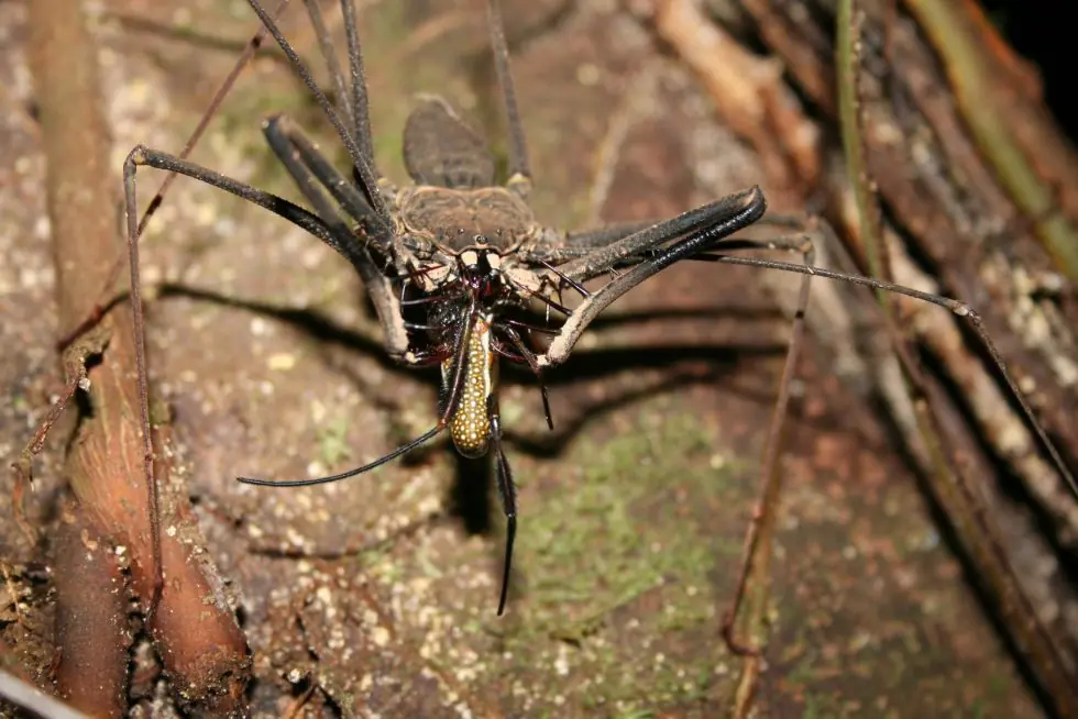 10 fotos interesantes del mundo