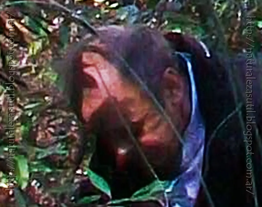 Con el ojo del alma
