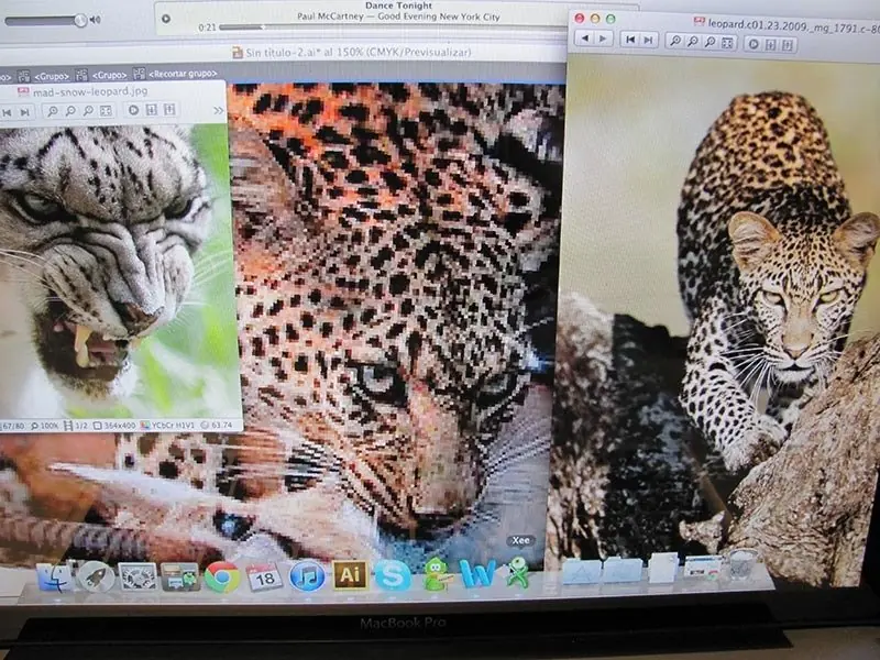 Me enfrente a un leopardo #3