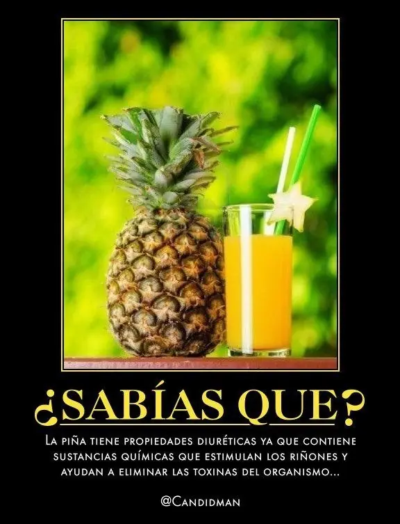 sabias que