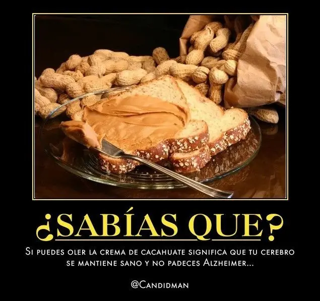 27 Datos Curiosos e Interesantes que seguro NO Sabías.