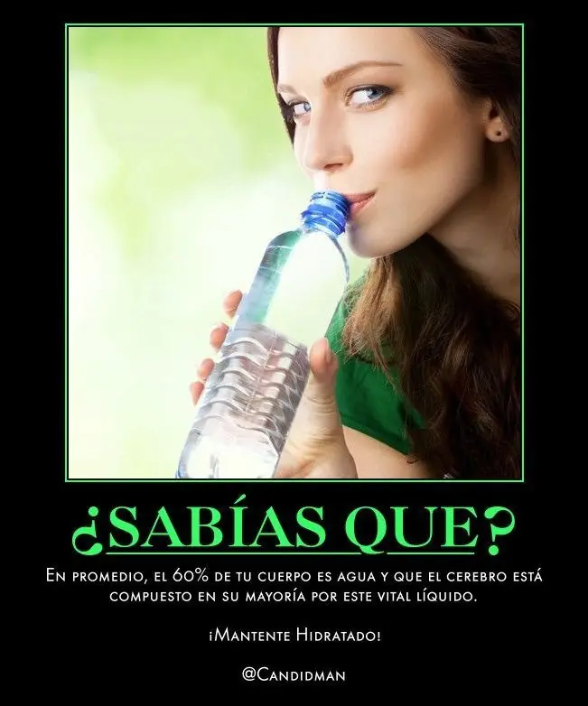 27 Datos Curiosos e Interesantes que seguro NO Sabías.