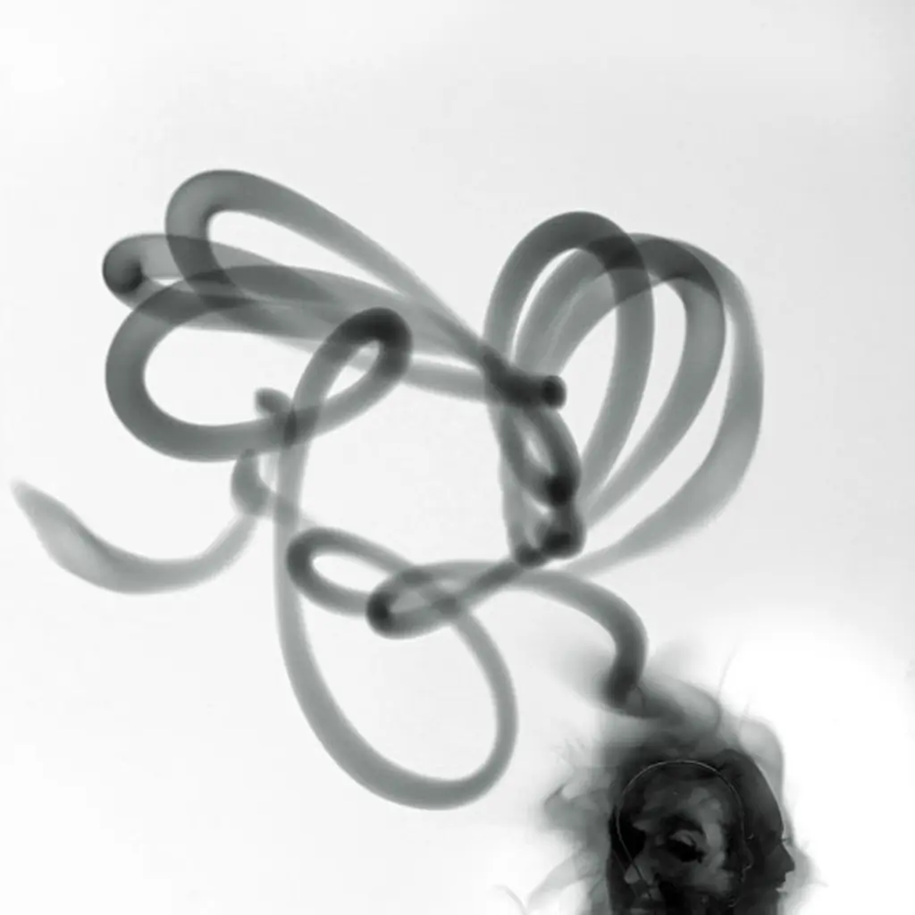 steven spazuk