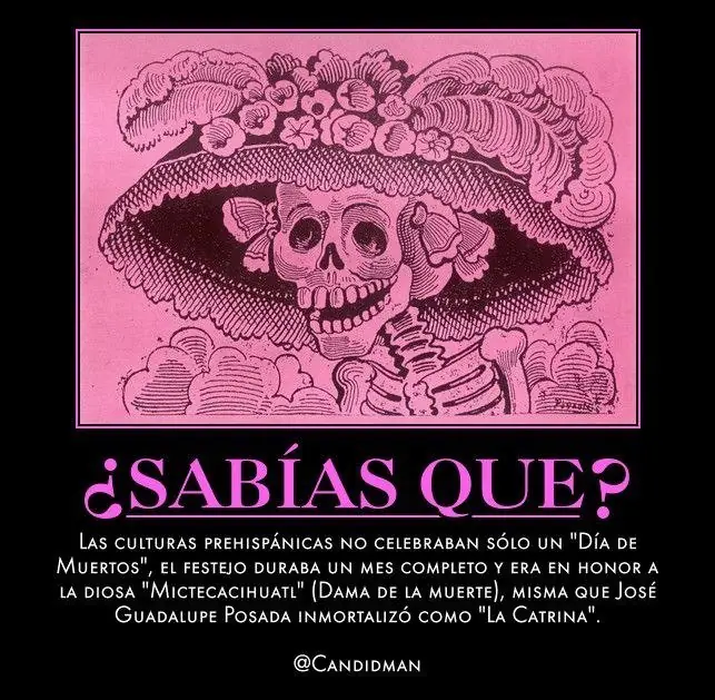 27 Datos Curiosos e Interesantes que seguro NO Sabías.