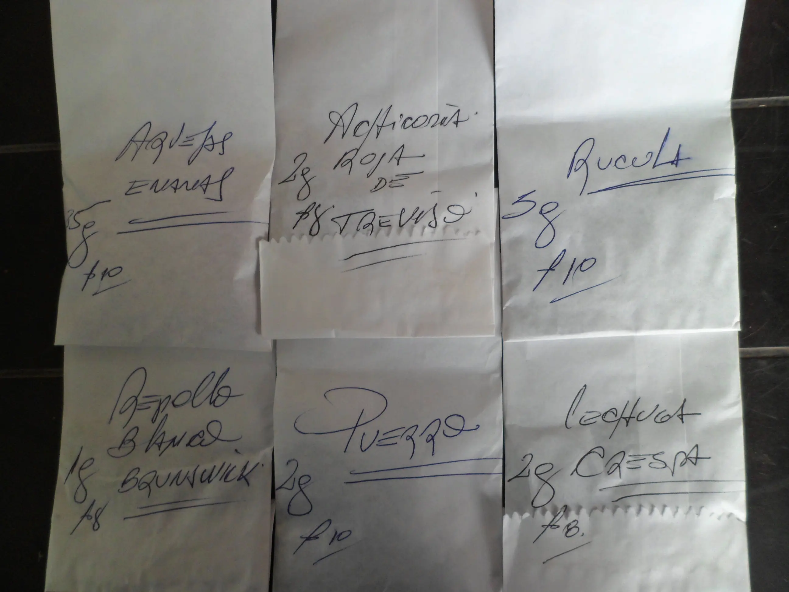 Mi huerta de otoño (1ª parte)