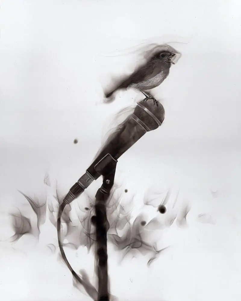 steven spazuk