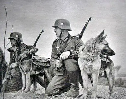 Perros usados por los nazis
