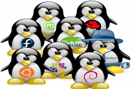 Mi breve paso por Linux, recuerdos de primavera y otoño.