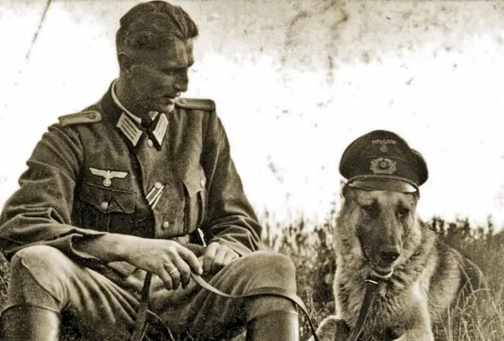 razas de perro peligrosas
