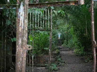 isla de las munecas mexico
