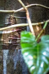 11 Sitios embrujados para pasar la noche este Halloween