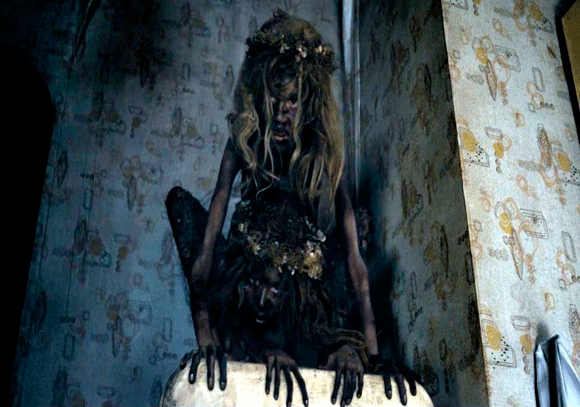 nino feral casos nino feral casos
