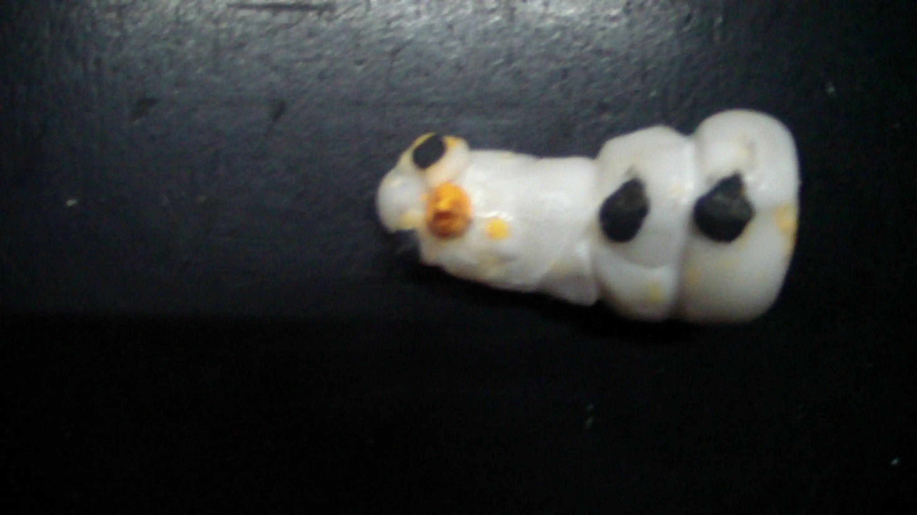 olaf