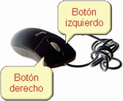 tutorial