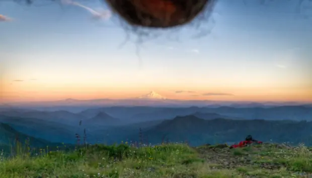 Nutscaping, sacar fotos a paisajes con los huevos colgando
