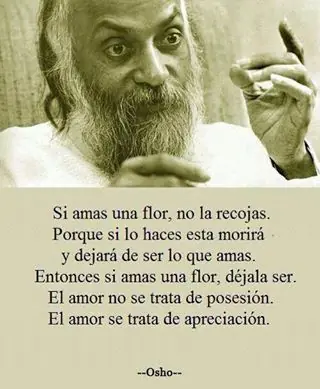 25 Frases de cantantes, actores y famosos fotos