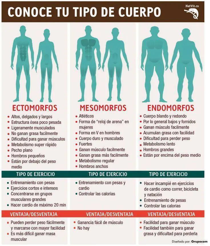 endomorfo