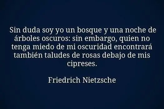 nietzsche nietzsche