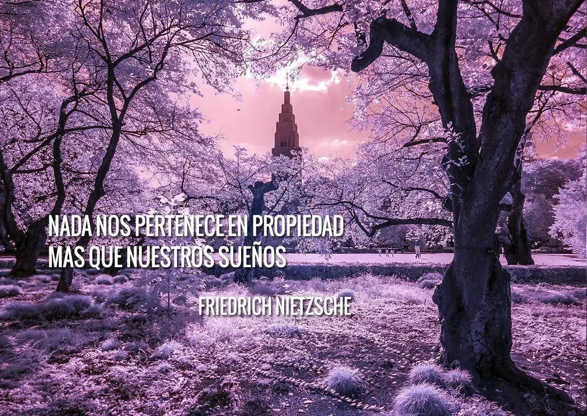 verdades