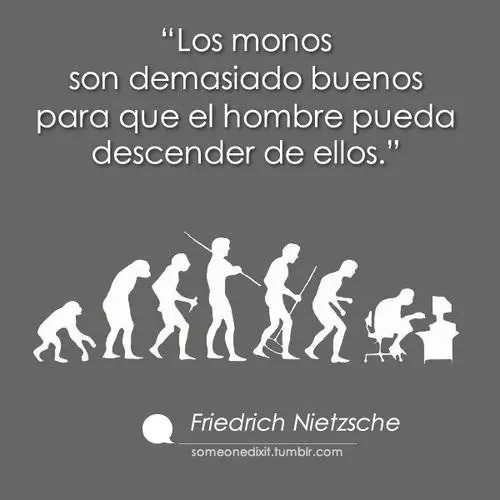 verdades verdades