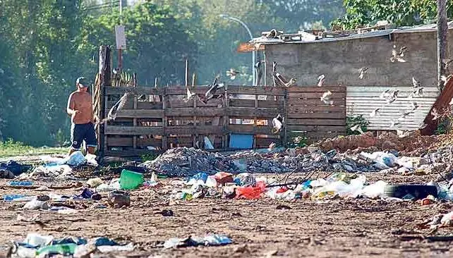 Como sera el primer año si asume Macri - Neoliberalismo