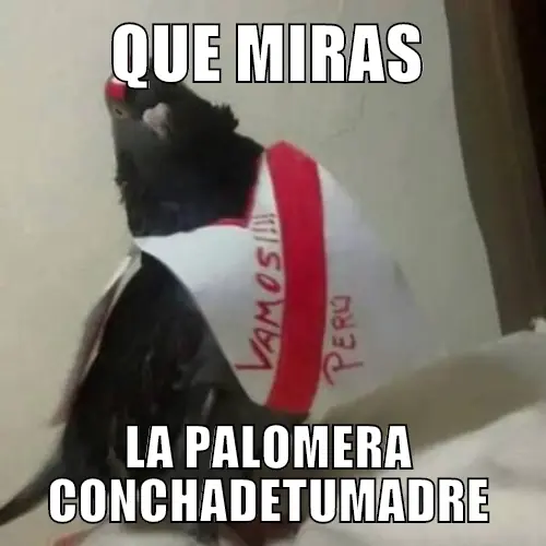 Android Marshmallow 6.0 , tu cell la tendrá?