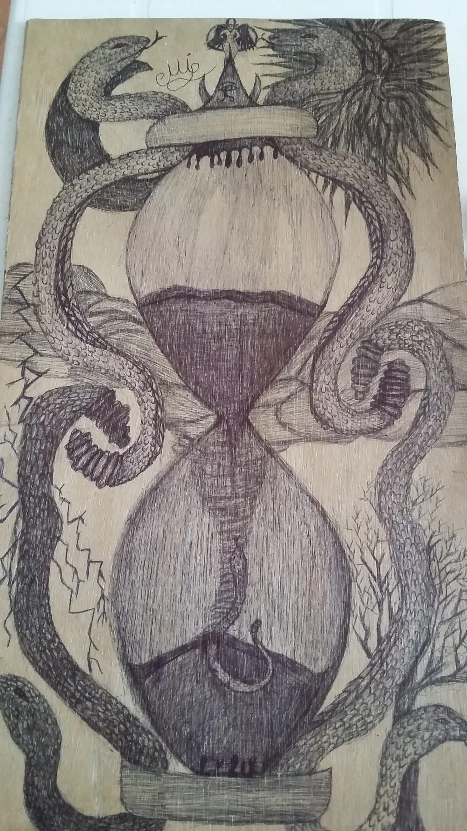 Dbujos