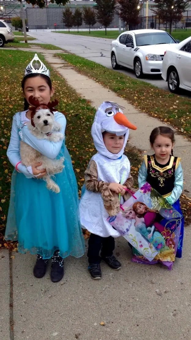 dog halloween