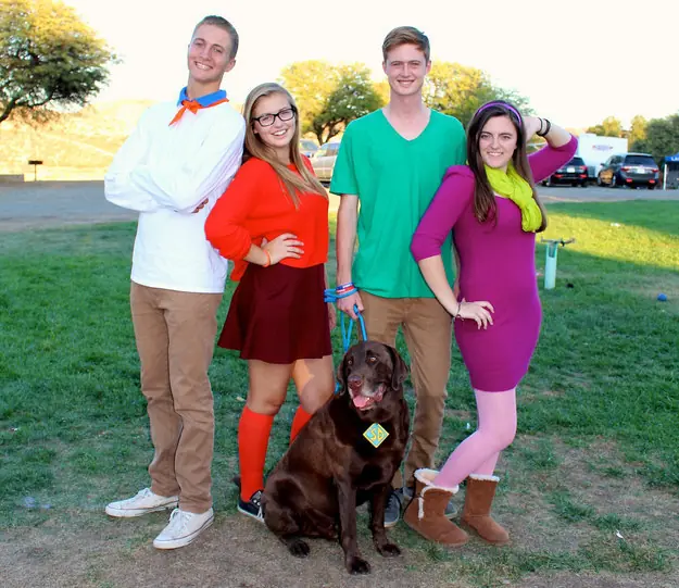 dog halloween