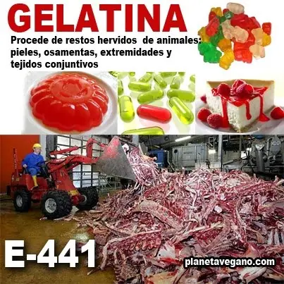 Te comes esto y no lo sabes! [Megapost]