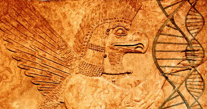 Los humanos Rh Negativo descienden de extraterrestres