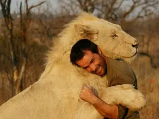 leones