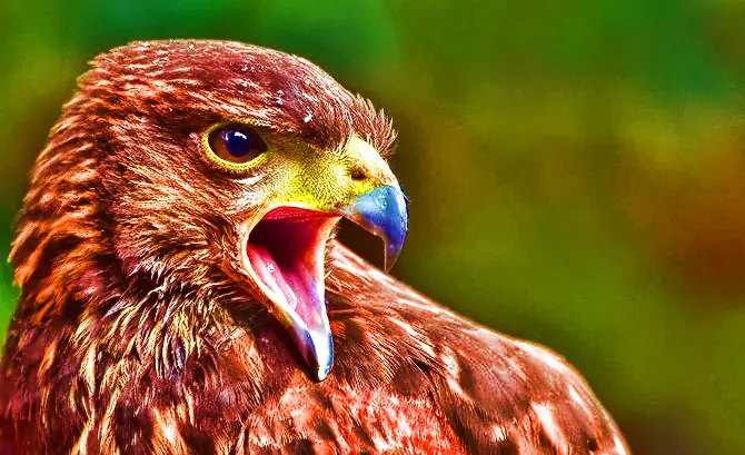 photoshop