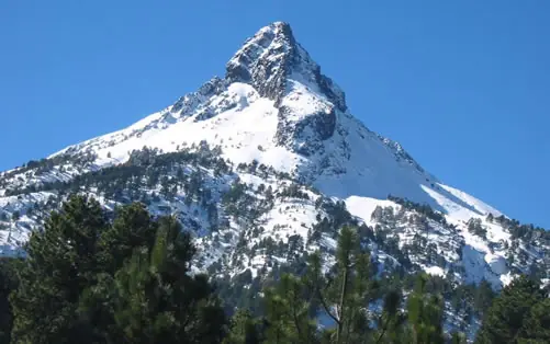 colima
