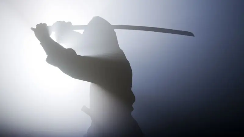 No, los ninja no podían desaparecer:mitos y leyendas de los