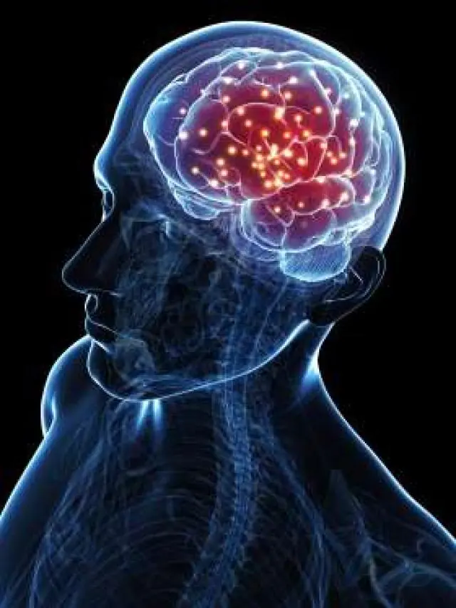 Taringuero Estas Equivocado! 30 Cosas Falsas.