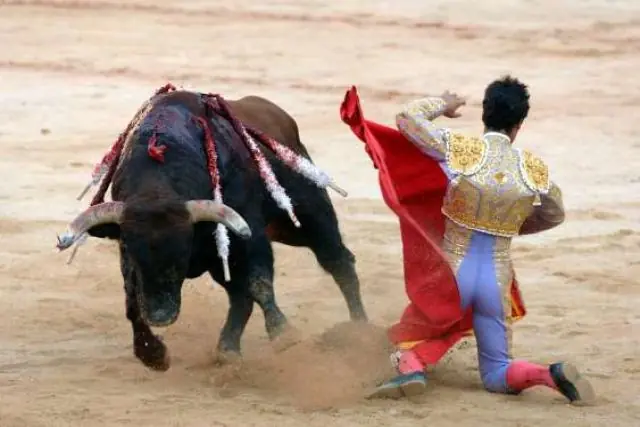 Taringuero Estas Equivocado! 30 Cosas Falsas.